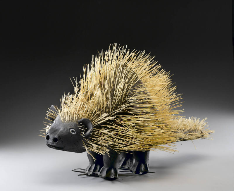 Porcupine
David Alvarez
Photo by Gavin Ashworth