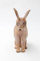 David Alvarez, (1953–2010), “Seated Rabbit,” Santa Fe, New Mexico, 1979, Cottonwood, paint, str…