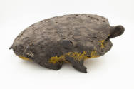 Sam Doyle, (1906–1985), “Turtle”, Georgia, n.d., Wood, tar, straw, paint, 17 1/2 × 9 3/4 in., C…