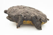 Sam Doyle, (1906–1985), “Turtle”, Georgia, n.d., Wood, tar, straw, paint, 17 1/2 × 9 3/4 in., C…