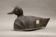 Captain Clarence Bailey, (1882–1952), “White-winged Scoter”, Duxbury< Massachusetts, 1910–1915,…