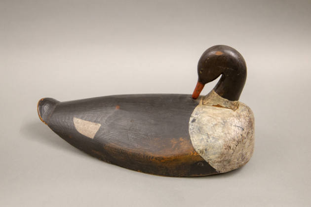 Samuel Smith Toothaker, (1903–1974), “Preening Merganser Hen”, Brunswick, Maine, 1900, Paint on…