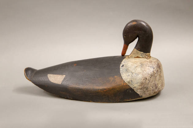 Samuel Smith Toothaker, (1903–1974), “Preening Merganser Hen”, Brunswick, Maine, 1900, Paint on…