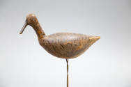Artist unidentified, “Dowitcher”, North Carolina, n.d., Paint on wood, root, and wire, 6 × 10 ×…