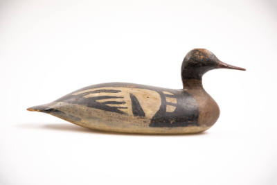 Artist unidentified, “Merganser Drake”, Maine, c. 1910, Paint on wood, 17 × 7 in., Collection A…