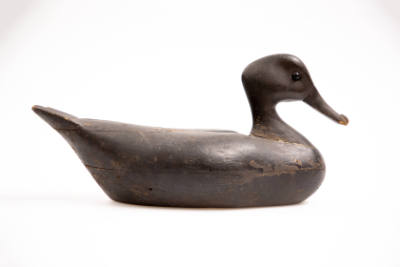 Artist unidentified, “Black Duck,” United States, 1885 - 1895, Paint on wood, 16 × 7 ½ in., Col…