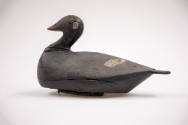 Artist unidentified, “White Wing Scoter,” United States, 1915, Paint on wood, 18 × 10 1/2 in., …