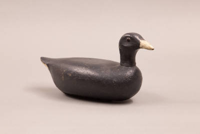 Charles Schoenheider, “Coot,” United States, 1800–1900, Paint on wood, 5 1/4 × 11 × 4 in., Coll…