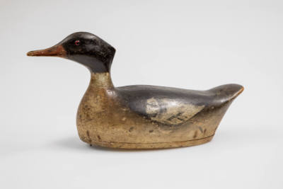 Captain Charles C.  Osgood, (1820–1886), “Red-breasted Merganser Drake”, Salem, Massachusetts, …