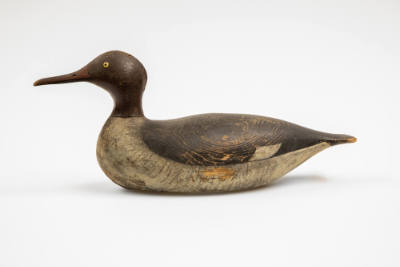 Joseph Whiting Lincoln, (1859–1938), “Red-breasted Merganser Hen”, Accord, Massachusetts, c. 19…