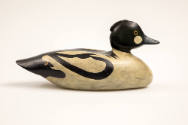 Lothrop T. Holmes, (1824–1899), “Goldeneye Drake”, Kingston, Massachusetts, 1885–1895, Paint on…