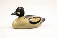 Lothrop T. Holmes, (1824–1899), “Goldeneye Drake”, Kingston, Massachusetts, 1885–1895, Paint on…