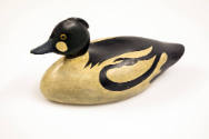 Lothrop T. Holmes, (1824–1899), “Goldeneye Drake”, Kingston, Massachusetts, 1885–1895, Paint on…