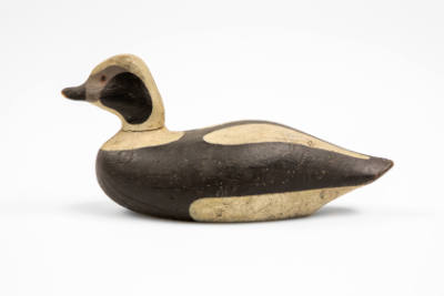 Lothrop T. Holmes, (1824–1899), “Long-tailed Duck Drake”, Kingston, Massachusetts, 1885–1895, P…