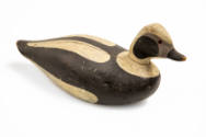 Lothrop T. Holmes, (1824–1899), “Long-tailed Duck Drake”, Kingston, Massachusetts, 1885–1895, P…