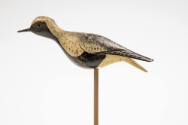 Elisha Burr, (1839–1909), “Black-bellied Plover”, Hingham, Massachusetts, c. 1910, Paint on woo…