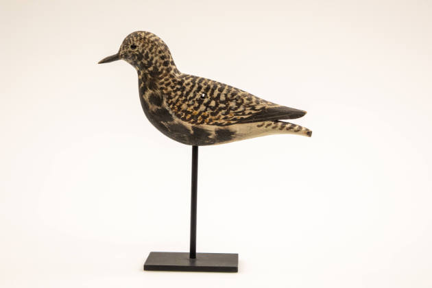 Anthony Elmer Crowell, (1862–1951), “Black-bellied Plover”, East Harwich, Massachusetts, 1900–1…