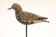 Anthony Elmer Crowell, (1862–1951), “Black-bellied Plover”, East Harwich, Massachusetts, 1900–1…