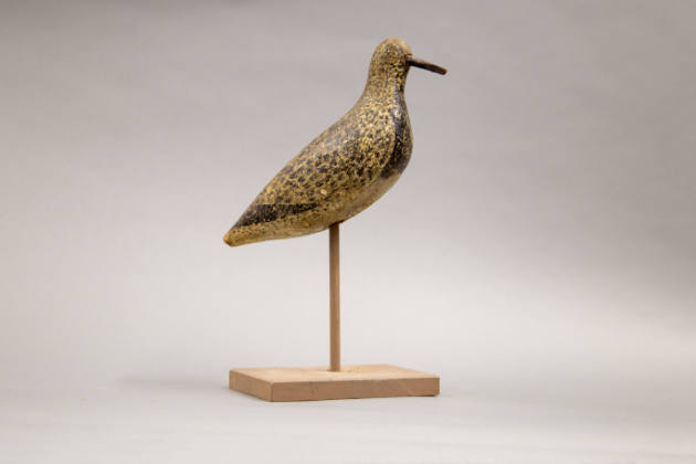 Thomas H. Gelston, (1851–1924), “Black-bellied Plover”, Quogue, Long Island, New York, c. 1890,…