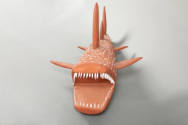 Artist unidentified, “Shark”, Australia, n.d., Paint on wood, 16 × 50 × 16 in., Collection of t…