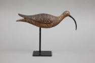 G. Fox Rig / Artist unidentified, “Hudsonian Curlew”, Duxbury, Massachusetts area, c. 1900, Pai…