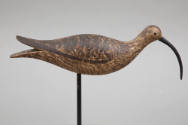 G. Fox Rig / Artist unidentified, “Hudsonian Curlew”, Duxbury, Massachusetts area, c. 1900, Pai…