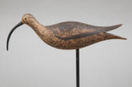 G. Fox Rig / Artist unidentified, “Hudsonian Curlew”, Duxbury, Massachusetts area, c. 1900, Pai…