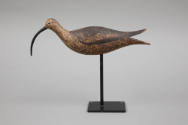 G. Fox Rig / Artist unidentified, “Hudsonian Curlew”, Duxbury, Massachusetts area, c. 1900, Pai…