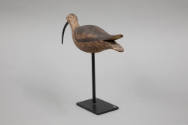 G. Fox Rig / Artist unidentified, “Hudsonian Curlew”, Duxbury, Massachusetts area, c. 1900, Pai…