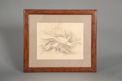 Artist unidentified, “Spencerian Drawing”, United States, Late nineteenth century, Pen and ink …