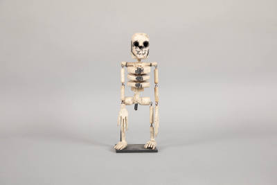 Artist unidentified, “Articulated Skeleton”,  New England, 1900 - 2000, White and Black Painted…