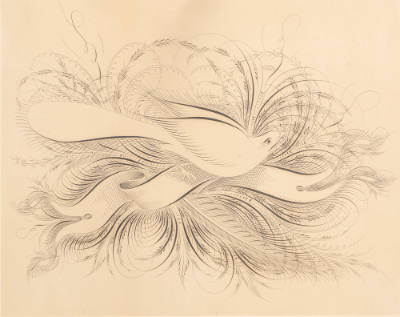 Artist unidentified, “Spencerian Drawing”, United States, Late nineteenth century, Pen and ink …
