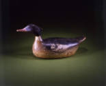 Captain Charles C.  Osgood, (1820–1886), “Red-breasted Merganser Drake”, Salem, Massachusetts, …