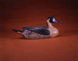 Artist unidentified, “Pintail Drake”, Delaware River Area, United States, c. 1930, Paint on woo…