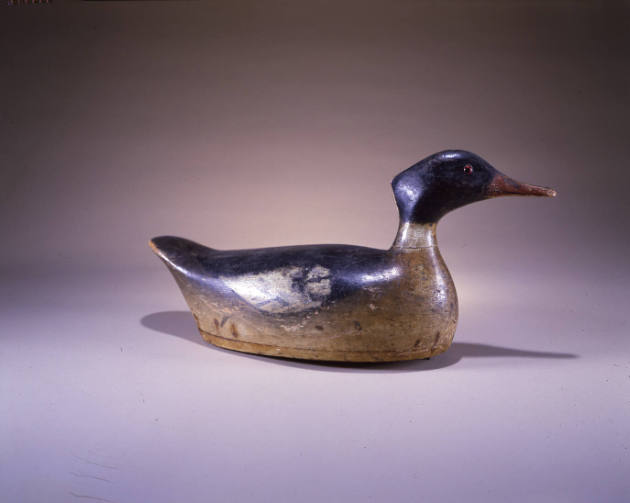 Captain Charles C.  Osgood, (1820–1886), “Red-breasted Merganser Drake”, Salem, Massachusetts, …