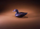 Ruddy Duck
Ivey Stevens
Photo by Carleton Palmer