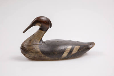 Possibly Augustus "Gus" Wilson, (1864–1950), “Red-breasted Merganser Drake”, Monhegan Island, M…