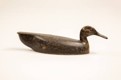 William Rumble, “Black Duck”, Ontario, Canada, 1900–1925, Paint on wood with glass eyes, 5 1/4 …