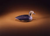 David Goodspeed, “Long-tailed Duck Hen”, Duxbury, Massachusetts, 1875 - 1885, Wood, 6 x 12 x 5 …