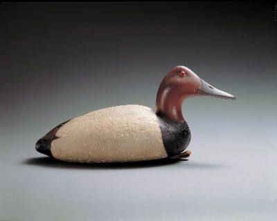 Canvasback Drake
Charles E. "Shang" Wheeler
Photo by John Parnell