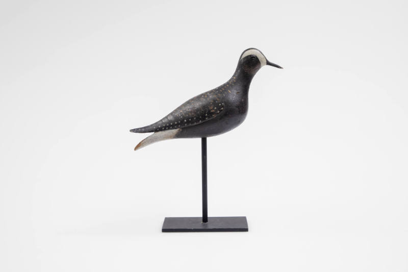 Artist unidentified, “Golden Plover”, Nantucket, Massachusetts, c. 1910, Paint on wood with gla…