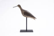 Joseph Whiting Lincoln, (1859–1938), “Greater Yellowlegs”, Accord, Massachusetts, c. 1910, Pain…