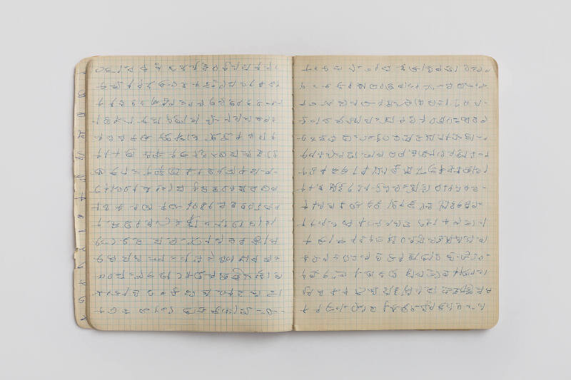 Book with automatic writings
Agatha Wojciechowsky, (1896–1986)
Photo by José Andrés Ramírez