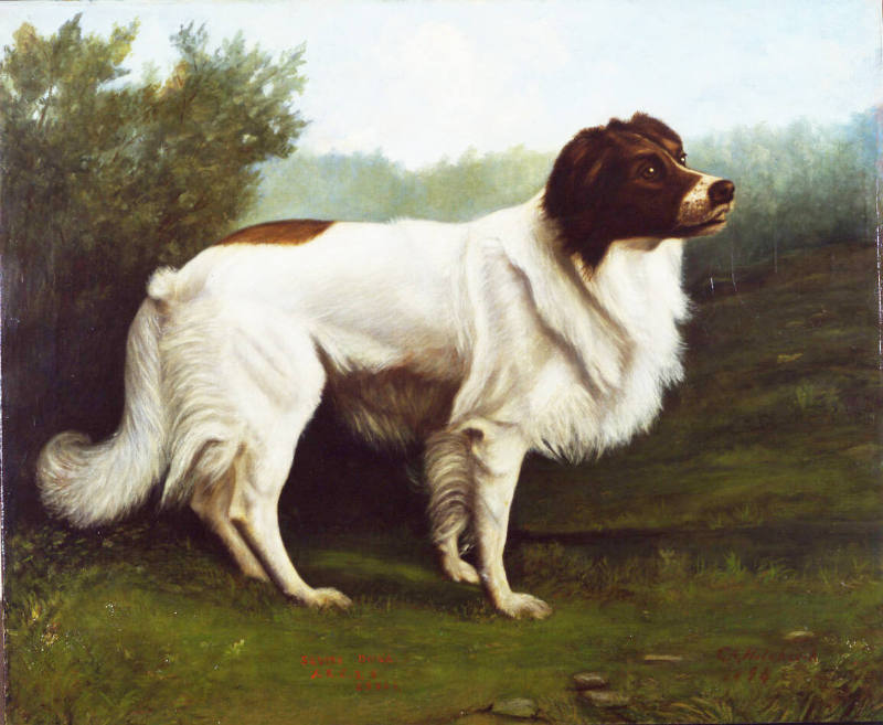 G.A. Hitchcock, “Portrait of a Dog "Squire Dona",” United States, 1894, Oil on canvas, 25 × 30 …