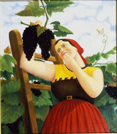 Girl Picking Grapes
William Fellini
Photographed by Terry McGinnis
