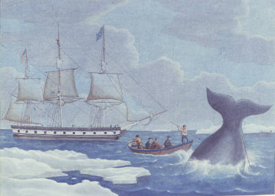 Artist unidentified, “"Beaver" in Arctic Waters”, United States, c. 1825–1840, Watercolor on pa…