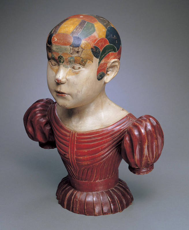 Phrenological Head
Asa Ames 
Photo by John Parnell