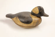 John Winsor, (dates unknown), “Bufflehead Drake”, Duxbury, Massachusetts, c. 1890, Paint on woo…