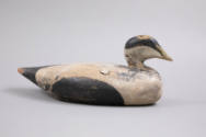 Harry Wass, “Eider Drake”, Maine, 20th century, Paint on wood, 19 × 8 in., Collection American …