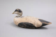 Harry Wass, “Eider Drake”, Maine, 20th century, Paint on wood, 19 × 8 in., Collection American …